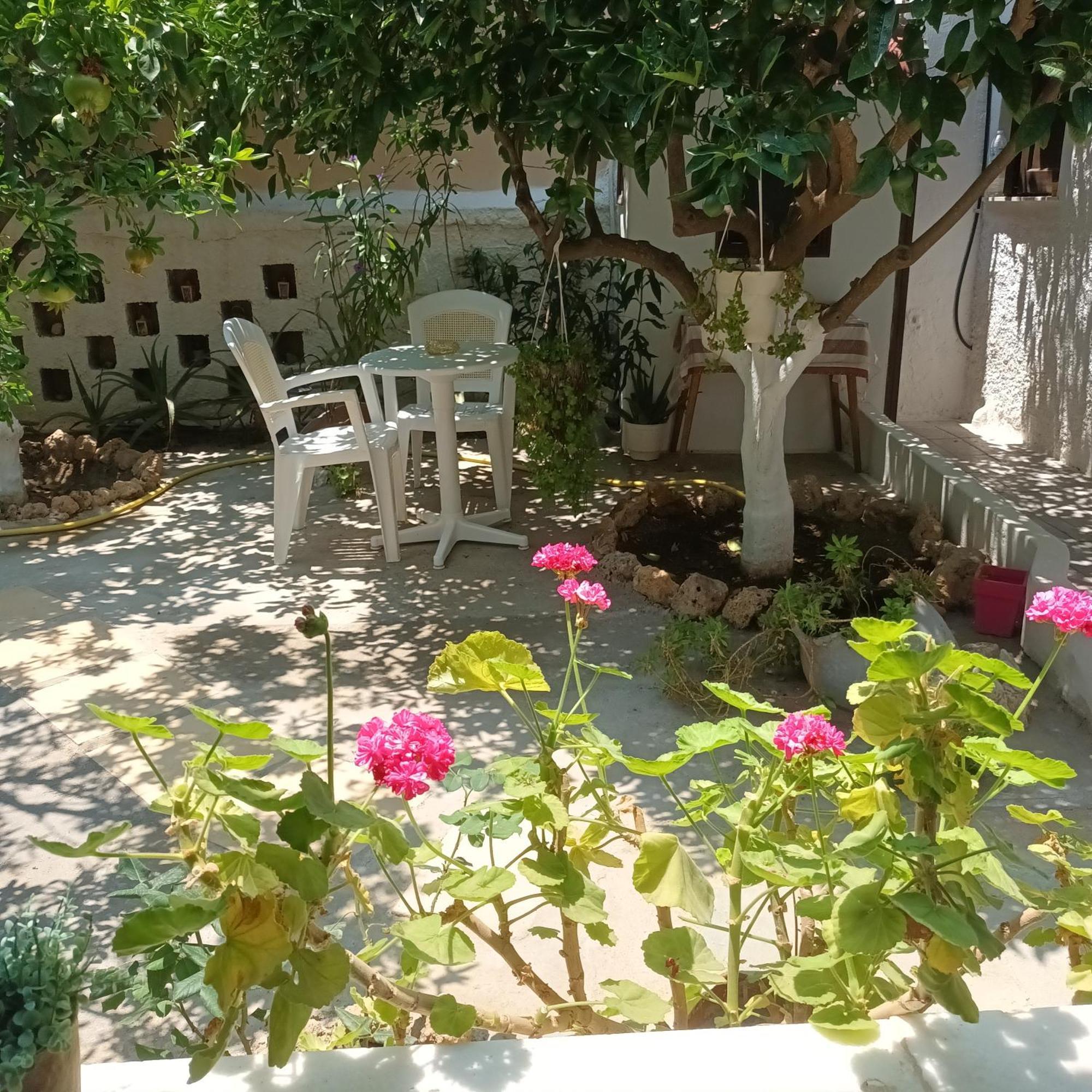 Magnolia Senses Apartment Kini Bagian luar foto