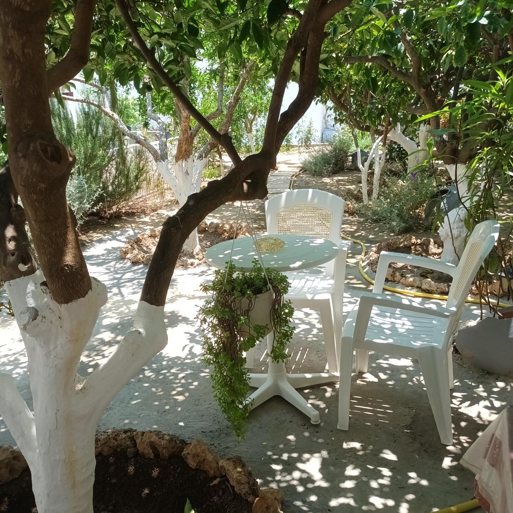 Magnolia Senses Apartment Kini Bagian luar foto