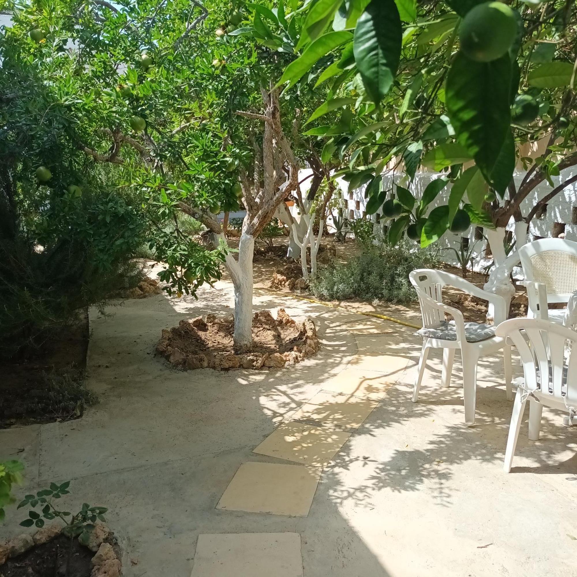 Magnolia Senses Apartment Kini Bagian luar foto